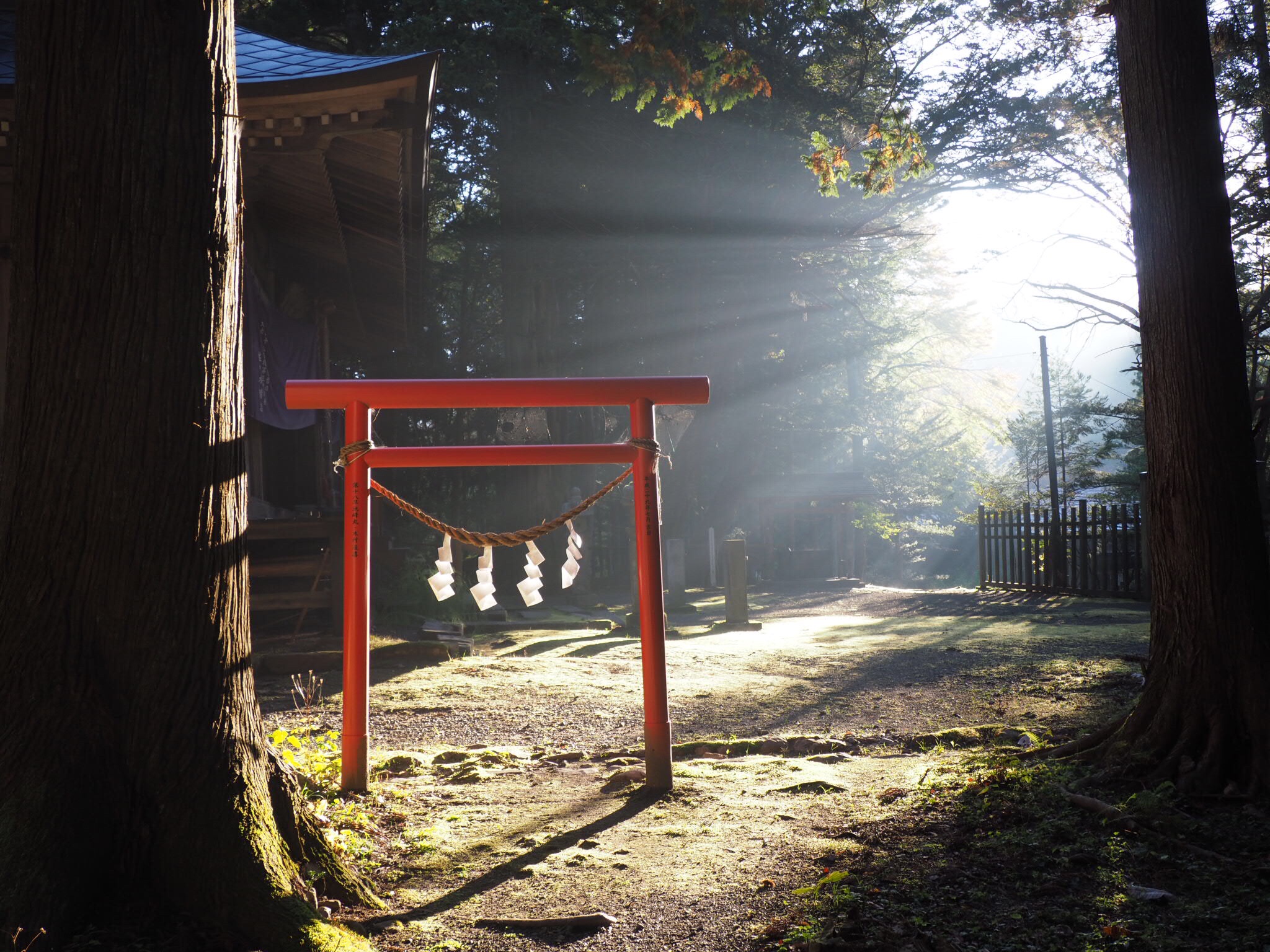 人生は一度きりだから後悔しないように好きなことをすべきだというのは本当か? みずいろてすと